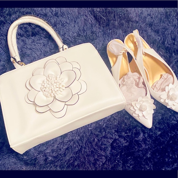 Purse and Shoe set - Picture 1 of 2